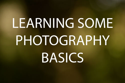 Learning Some Photography Basics