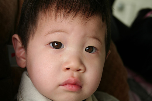 Portrait of a young boy captured with catchlights in the eyes