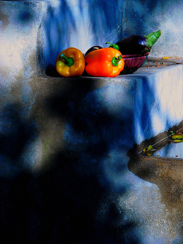 Blue - still life photo