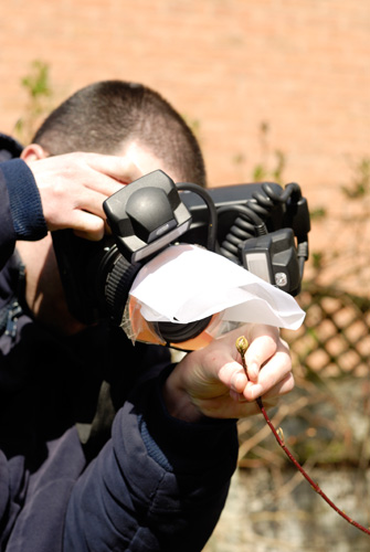 Short focal lengths allow you to hold your subject to prevent it from moving