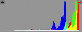 Histogram of image exposed to the right before applying exposure compensation in RAW converter
