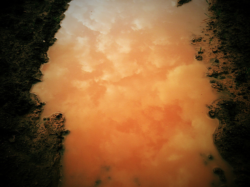 Muddy water phone photo