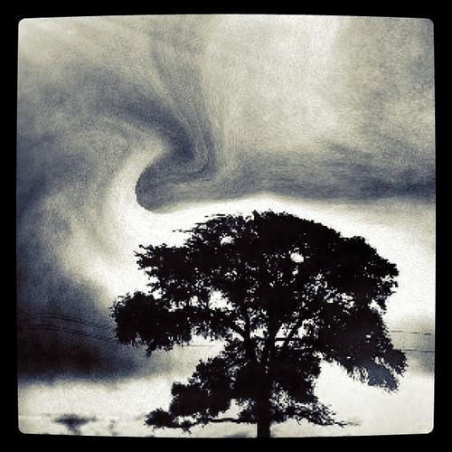 Tree silhouette and swirling sky - heavily edited phone photograph