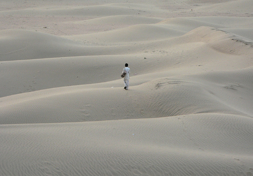 Desert scene