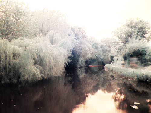 Photo taken with a camera sensitive to infrared light and an infrared filter