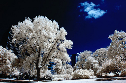 summertime blues infrared image