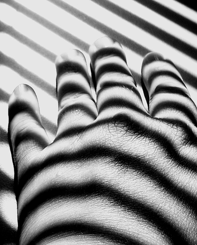 Zebra shadows on hand - taken with a Superzoom compact camera