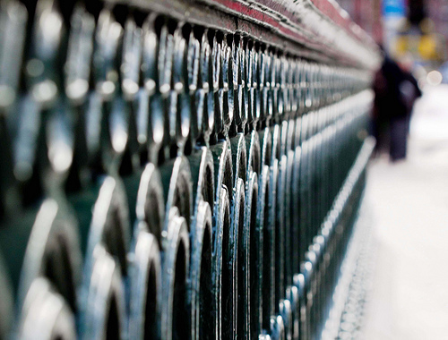 Into the distance - fence creating converging lines, combined with a shallow depth of field.