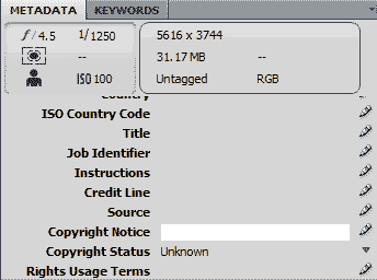 Metadata panel in Adobe Bridge allows you to add copyright information