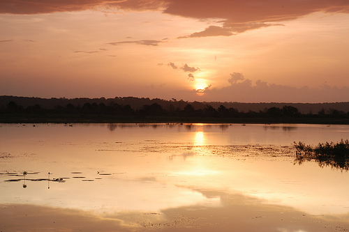 Sunrise - Lake Jackson - Tall. FL - July 17, 2010