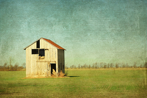 photo of barn in field, minimalistic composition with barn placed on the intersection of thirds