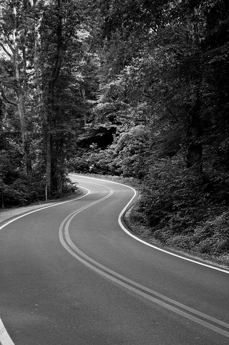 Winding Road outside of Fredericksburg