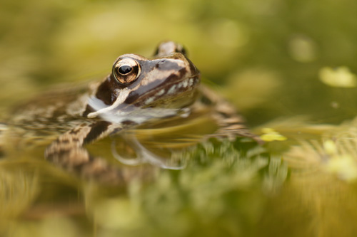 Photo taken with a large aperture (f/2.8), giving a shallow depth of field