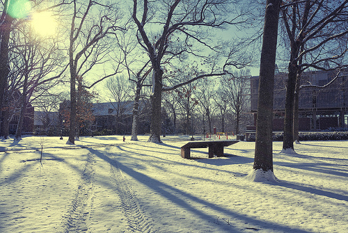 Snow @ Wellesley College, Nikon V1, 10mm/2.8 lens