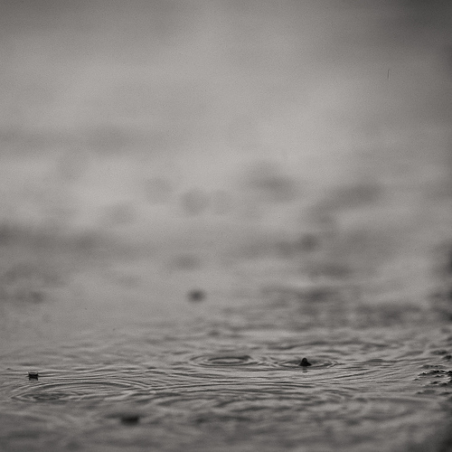 raindrops hitting water