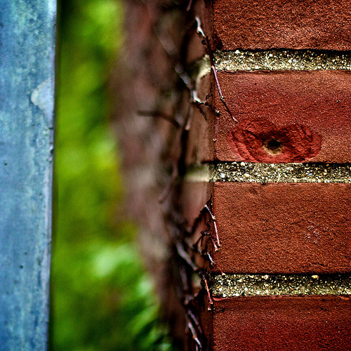 Wet wall saturated colors