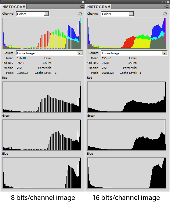 8 bits per channel photo vs 16 bits per channel histograms after applying contrasty tone curve