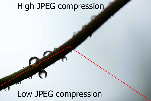 Example image showing difference between high JPEG compression and low JPEG compression