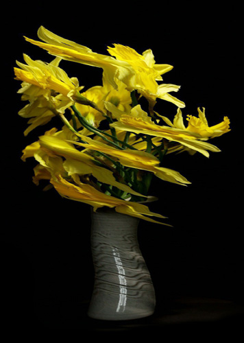 Slit-scan style photo of a Vase of daffodil flowers rotating on a turntable