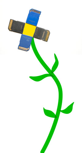 SD cards flower