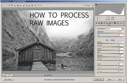 How to process RAW images
