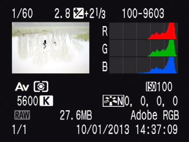 Image review screen showing blinking highlight warning and histogram