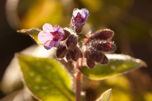 This photo, lit by natural light, has strong contrast, with deep shadows and bright highlights