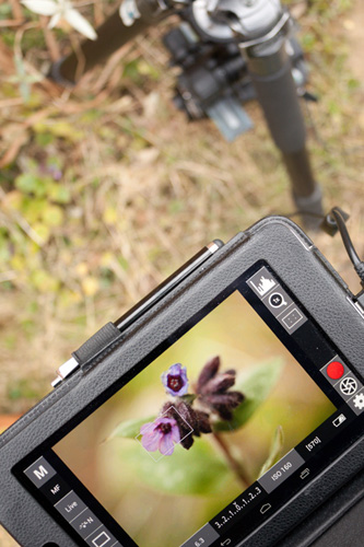 Using an app on a tablet to control the camera instead of having to lie down in the mud to look through the viewfinder