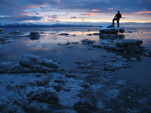 "Captain of Kincaid." Kincaid Park, Anchorage, Alaska