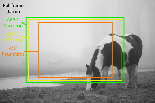 Photo showing the common crop factors of 1.5x, 1.6x, and 2x compared to a full frame 35mm camera