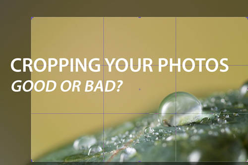 Cropping your photos - Good or Bad?