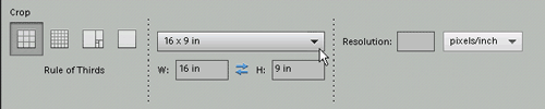 Crop tool options to set aspect ratio of crop in Photoshop Elements