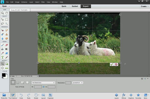 Using the crop tool to crop a photo in Photoshop Elements