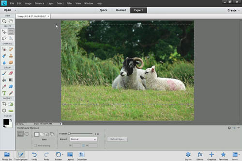 Making a selection to crop using the rectangular marquee tool in Photoshop Elements