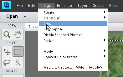 Crop to selection menu item in Photoshop Elements