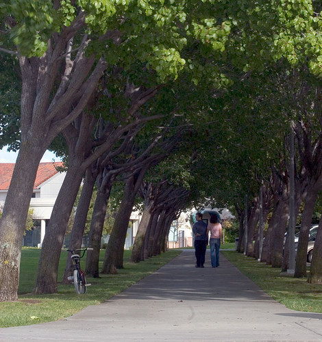 Photo of a couple walking down a tree lined pathway, cropped in Photoshop to improve the composition