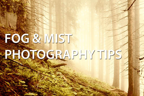 Fog & Mist Photography Tips