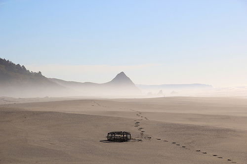 Fog in distance at beach