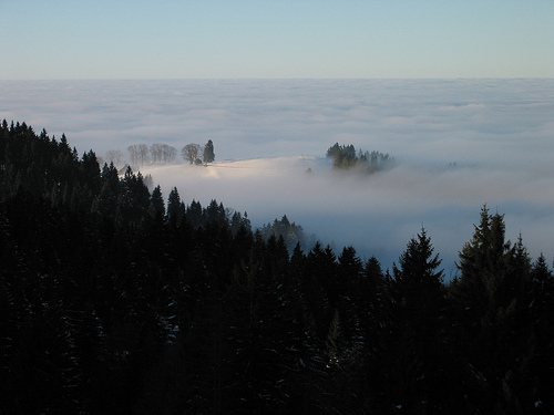 fog island