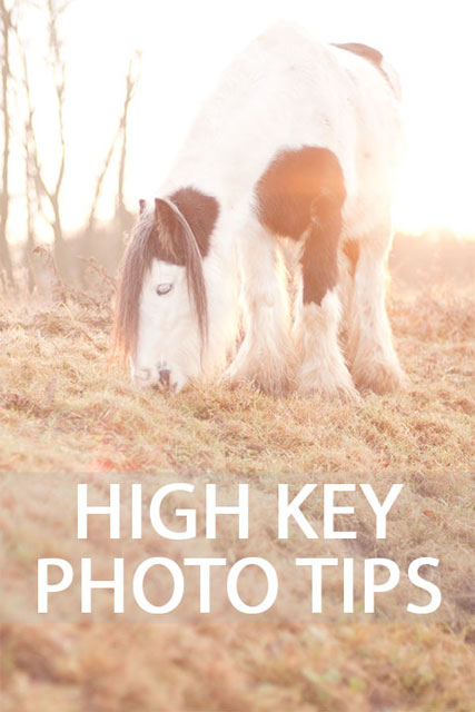 High Key Photography Tips