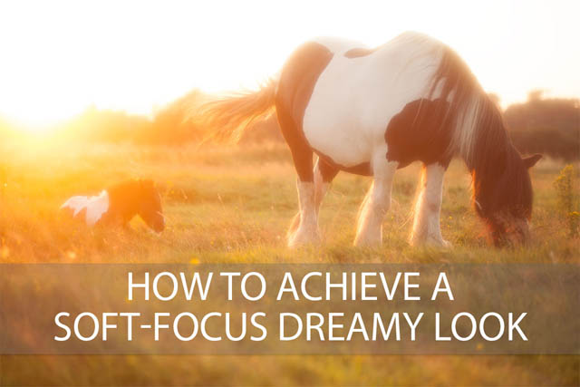 How to achieve a soft-focus dreamy look