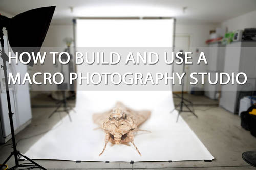 How to build and use a macro photography studio