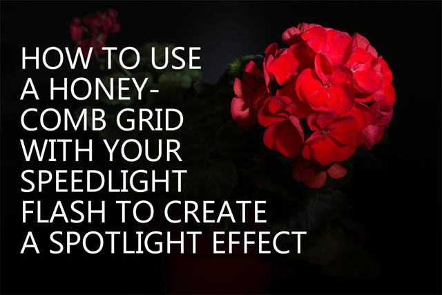 How to use a honeycomb grid with your speedlight flash to create a spotlight effect