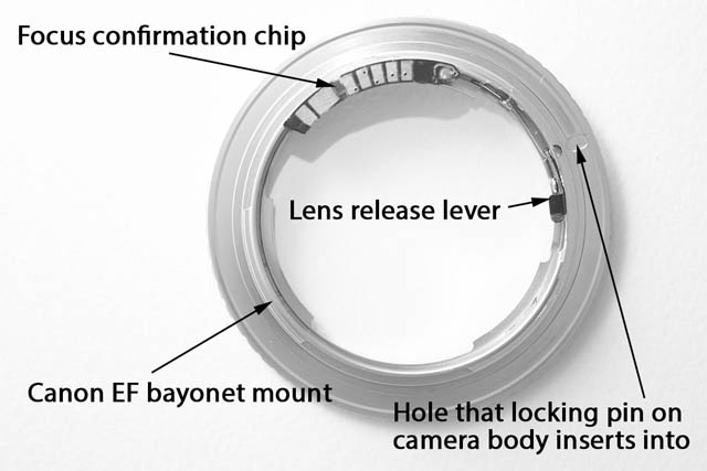 Anatomy of a basic lens adapter example - Nikon F to Canon EF mount adapter, camera side