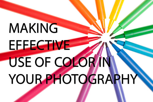 Making effective use of color in your photography