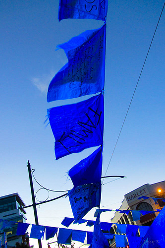 Blue flags against a blue sky - the strongly saturated blue flags stand out against the lower saturation of the blue sky