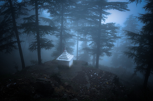 The path out of Dharamsala - wooded mnountainside in the mist