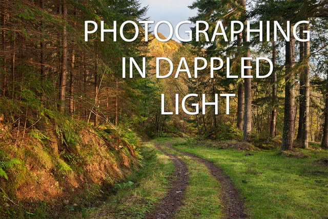 Photographing in dappled light