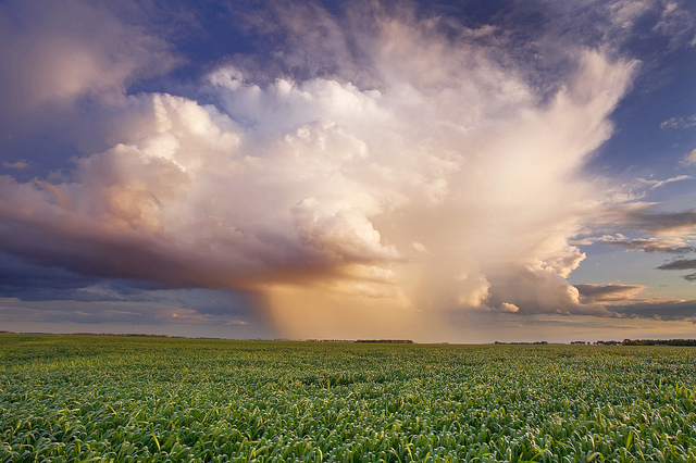 Summer storm