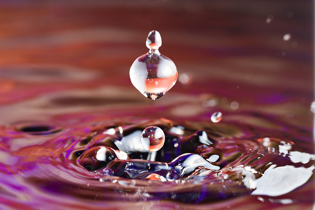 Water splash lit by using a speedlight flash at low power and very close to subject used for fast flash duration.